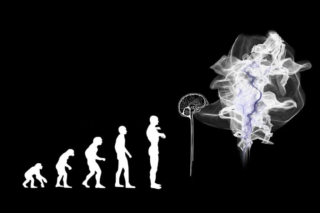 Evolucija čovjeka i umjetne inteligencije