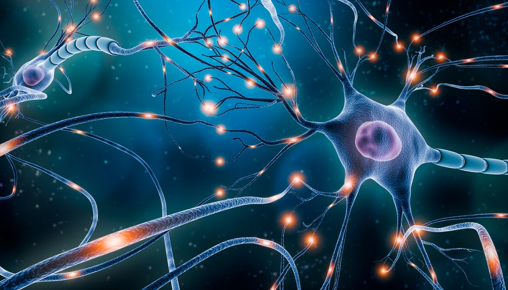 neuron i neuronske mreže